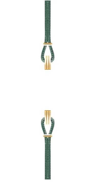 Gold Watch Strap Dark Green