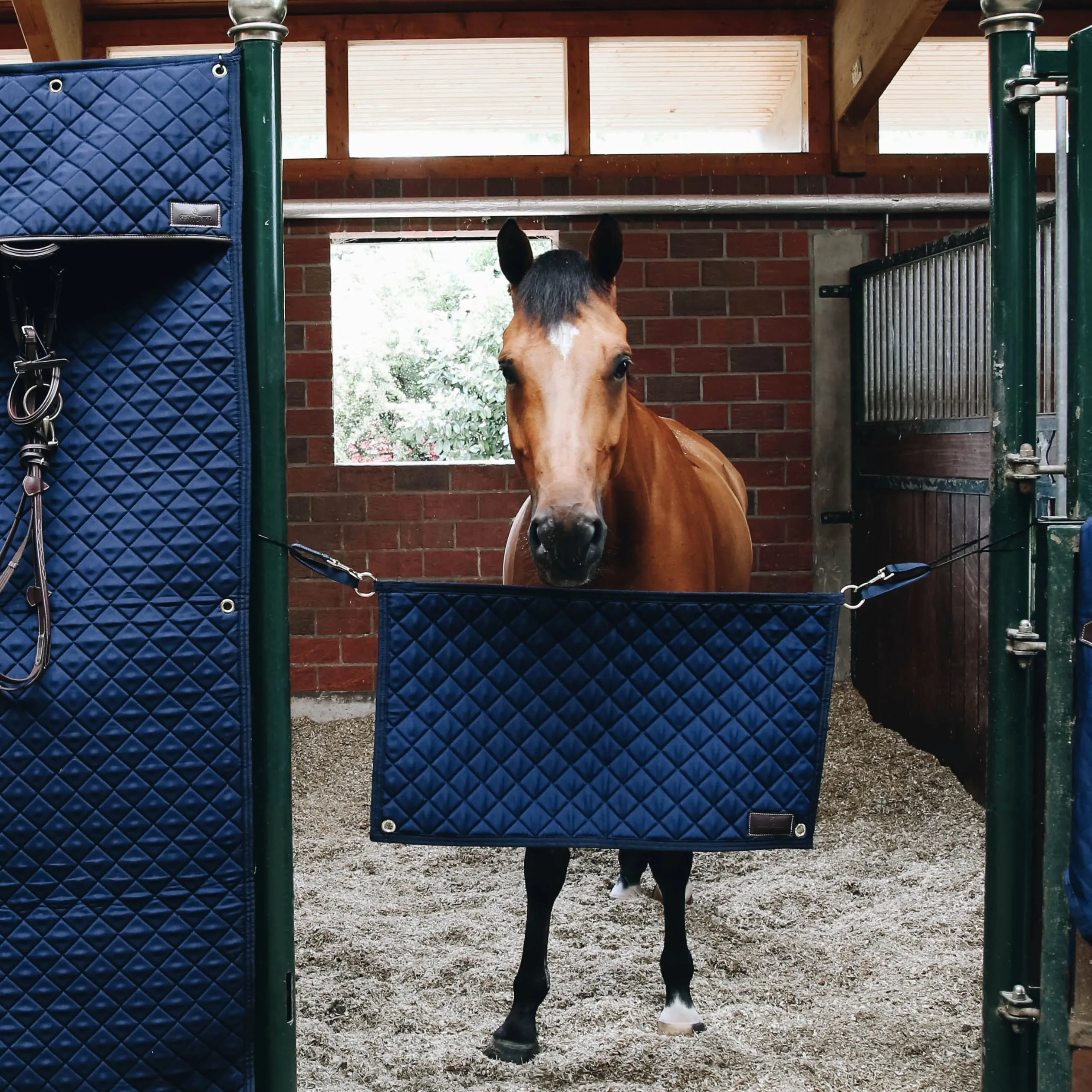 Kentucky Horsewear Stable Guard - Navy